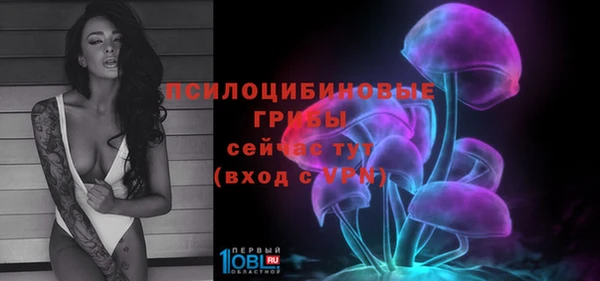 mdpv Верхний Тагил