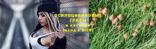 mdpv Верхний Тагил